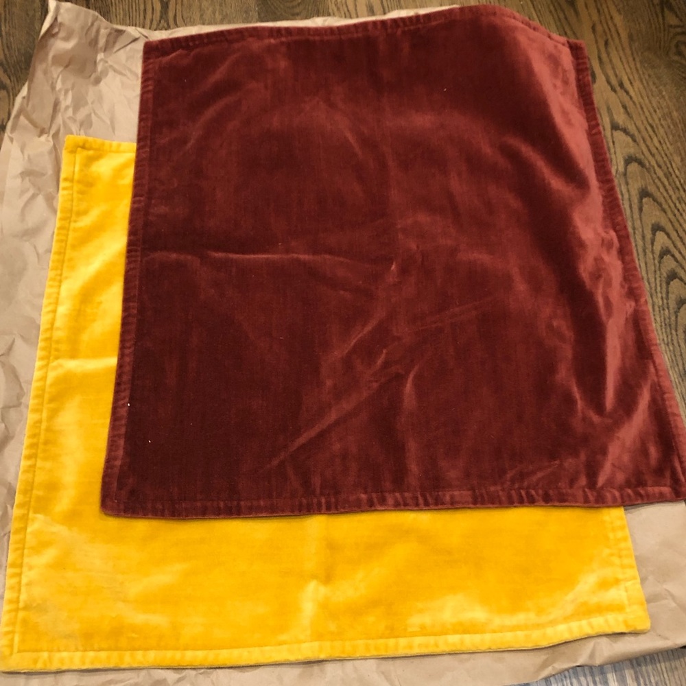 Pair of Pottery Barn velvet 20x20 Pillow Covers
